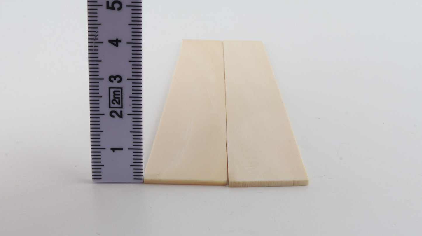 White mammoth ivory scales