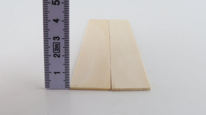 White mammoth ivory scales