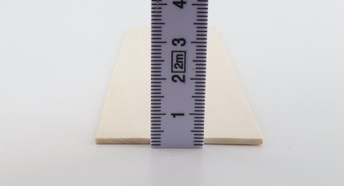 White mammoth ivory scales