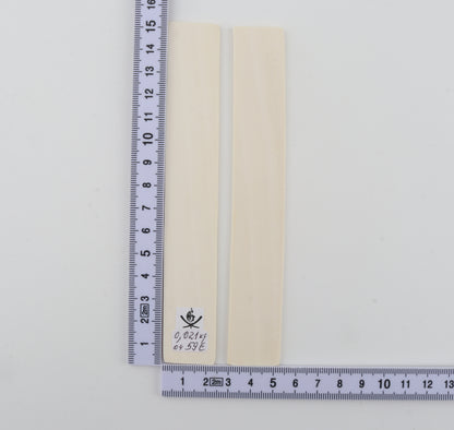 White mammoth ivory scales