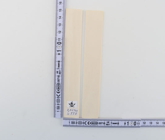 White mammoth ivory scales