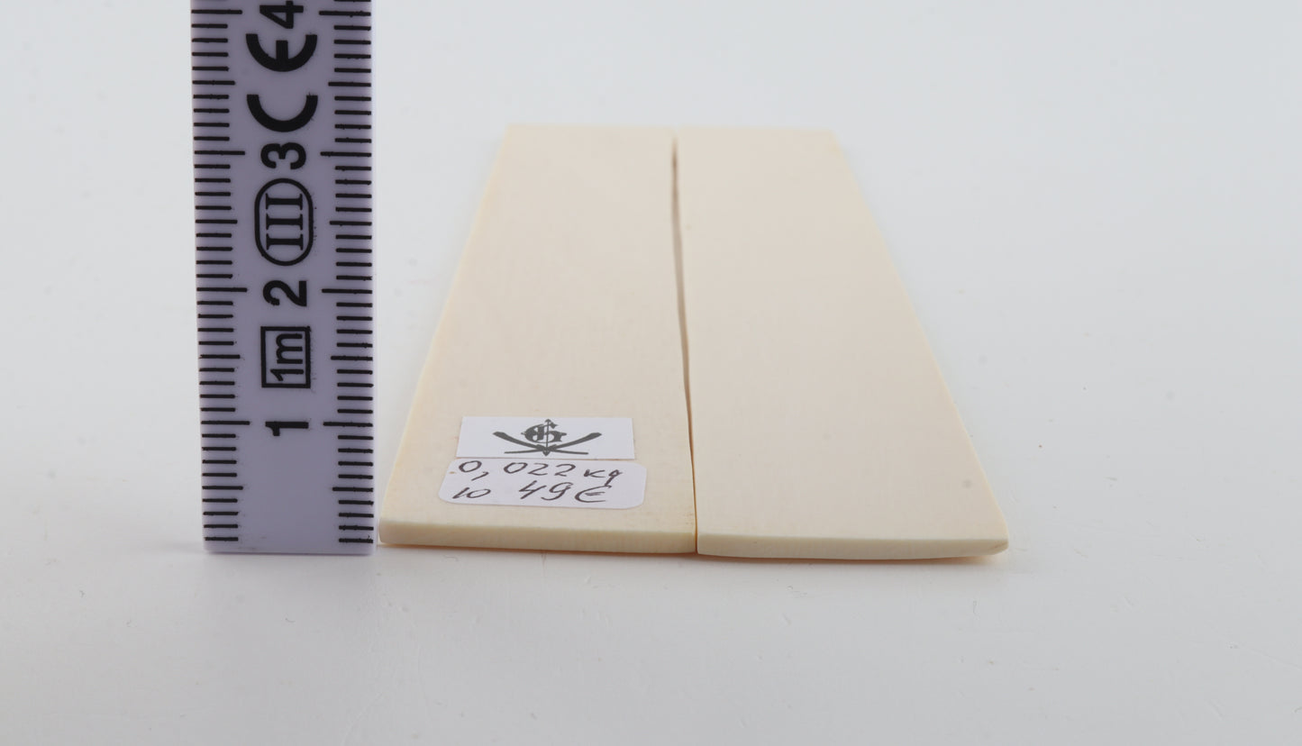 White mammoth ivory scales