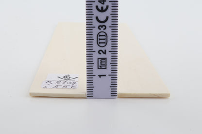 White mammoth ivory scales