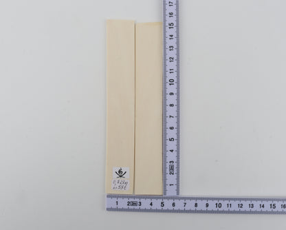 White mammoth ivory scales