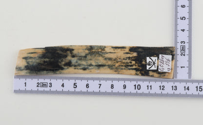 Blue-white mammoth bark