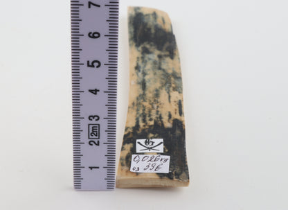 Blue-white mammoth bark