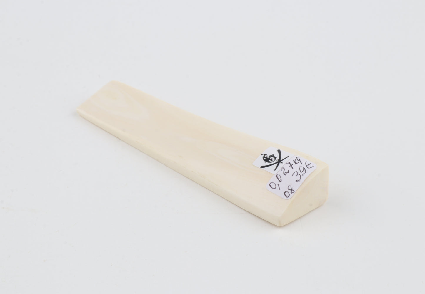White mammoth ivory segment