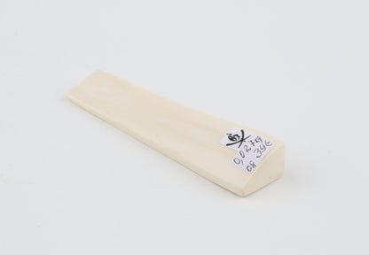 White mammoth ivory segment