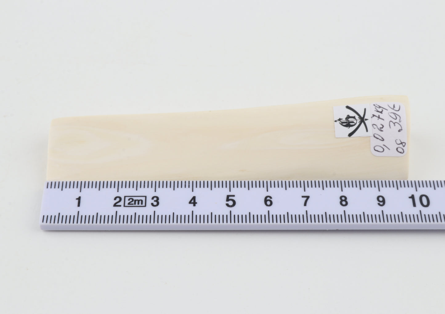 White mammoth ivory segment