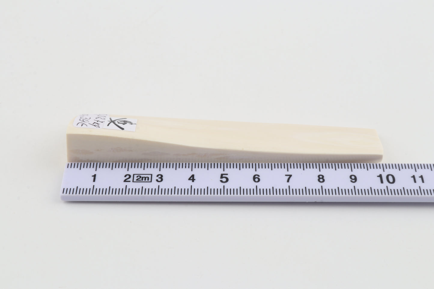 White mammoth ivory segment