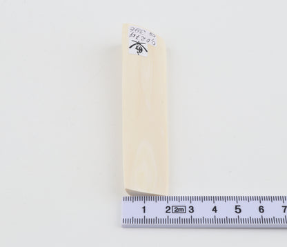 White mammoth ivory segment