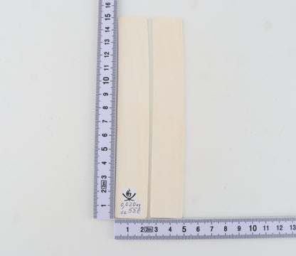 White mammoth ivory scales