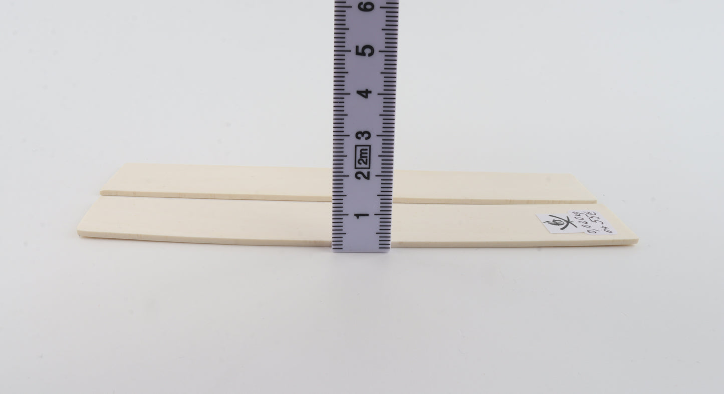 White mammoth ivory scales