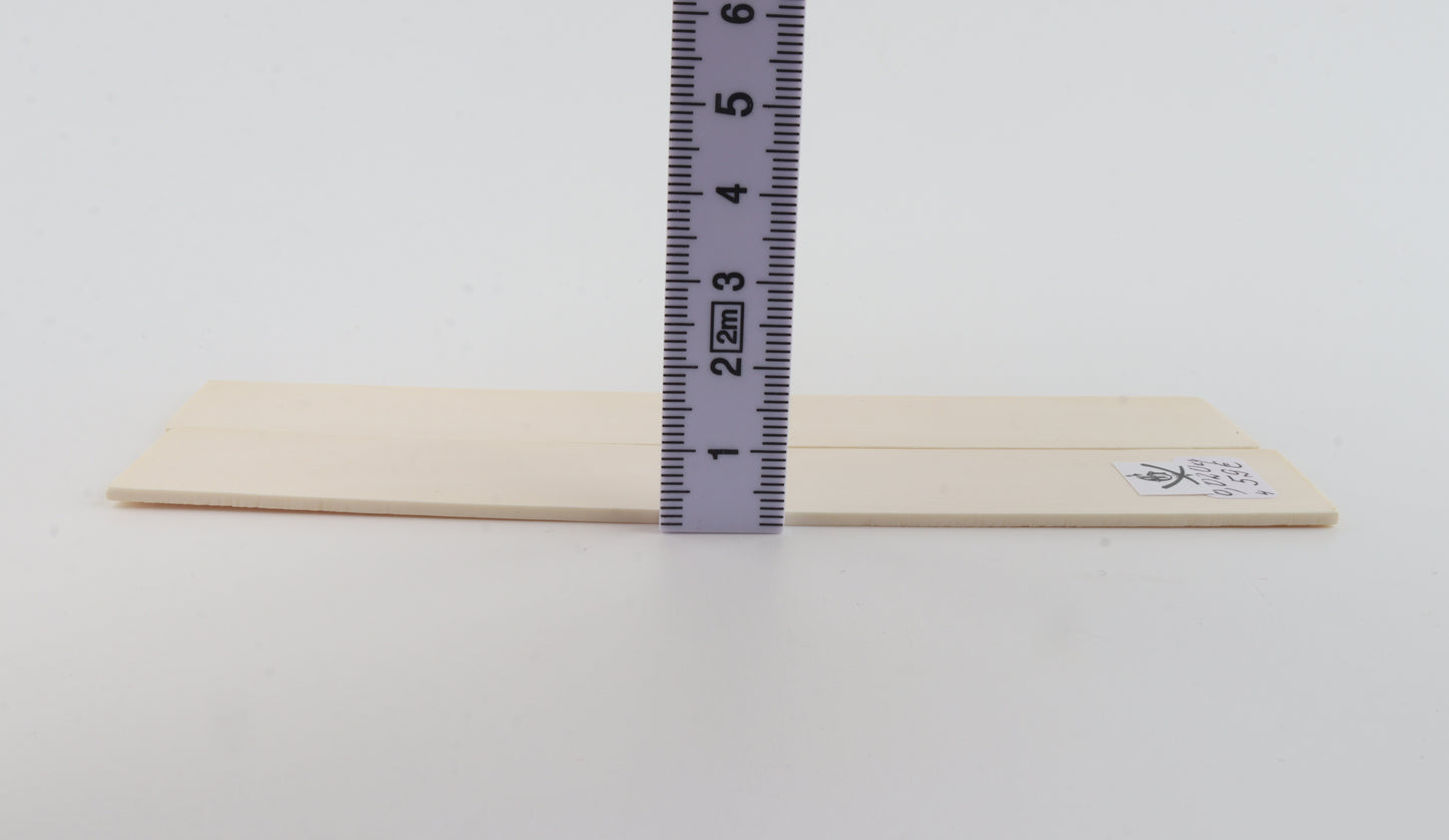 White mammoth ivory scales