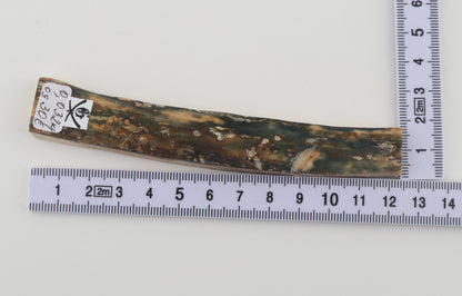 Natural woolly mammoth bark
