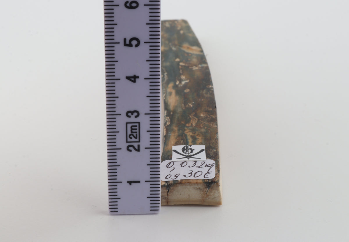 Natural woolly mammoth bark