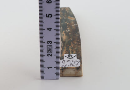 Natural woolly mammoth bark