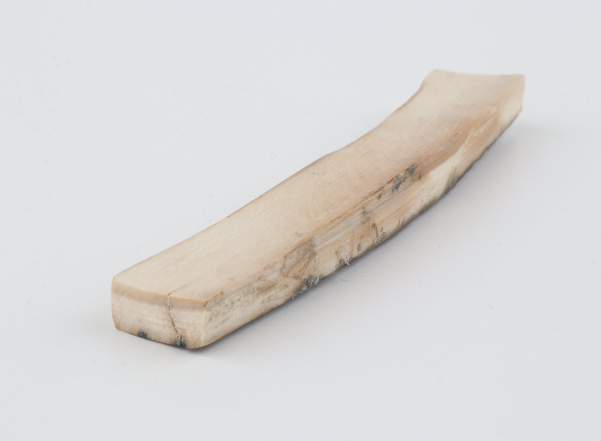 Natural woolly mammoth bark