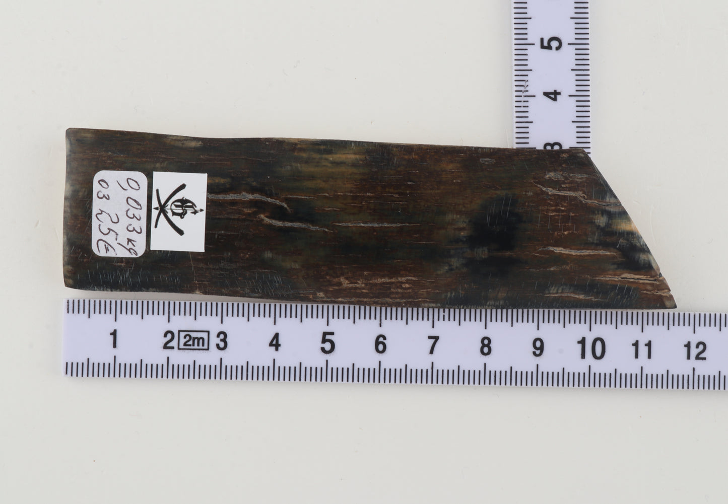 Natural woolly mammoth bark
