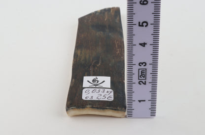 Natural woolly mammoth bark