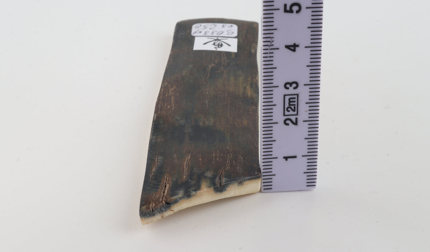 Natural woolly mammoth bark