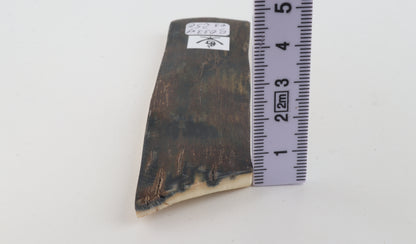 Natural woolly mammoth bark
