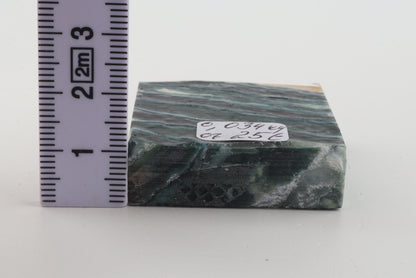 Stabilized mammoth molar piece