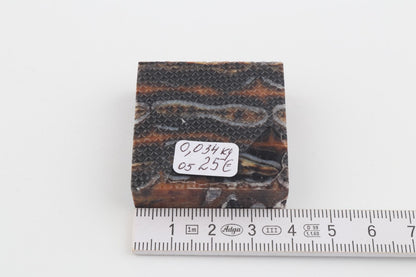 Stabilized mammoth molar piece