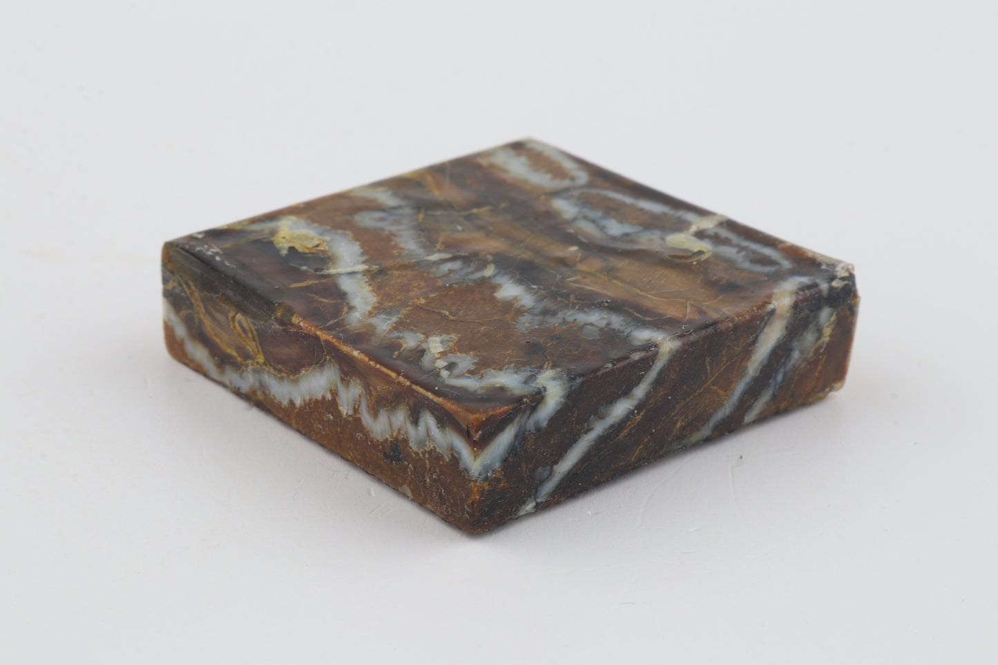 Stabilized mammoth molar piece