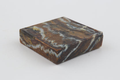 Stabilized mammoth molar piece