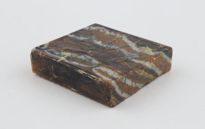 Stabilized mammoth molar piece