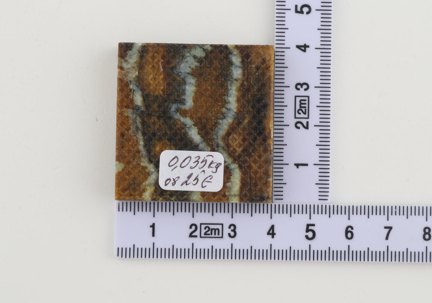 Stabilized mammoth molar piece