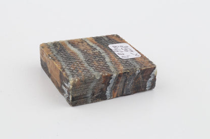 Stabilised mammoth molar piece