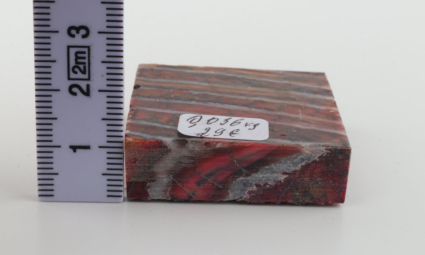 Stabilised mammoth molar piece