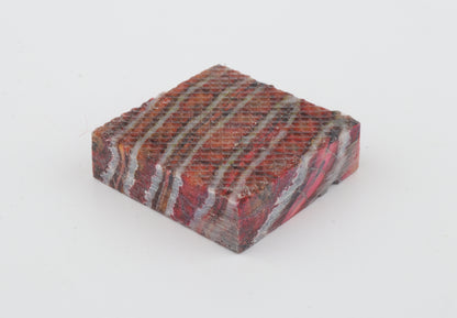 Stabilised mammoth molar piece