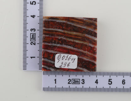 Stabilised mammoth molar piece