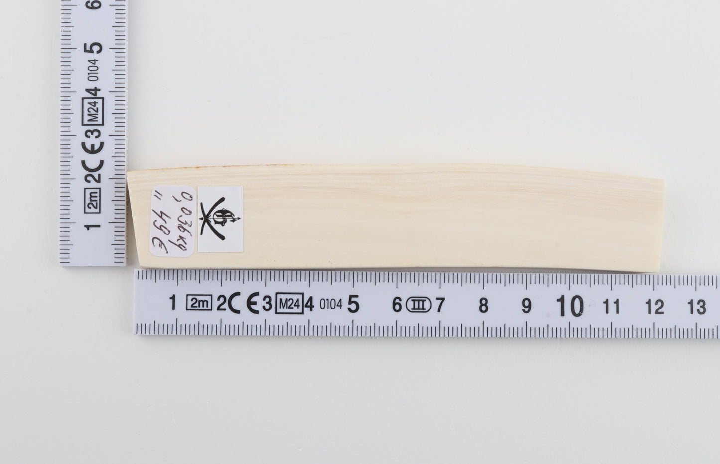 White mammoth ivory segment