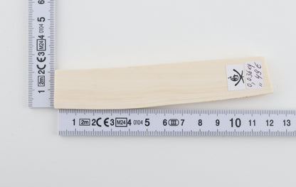 White mammoth ivory segment