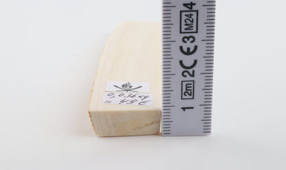 White mammoth ivory segment