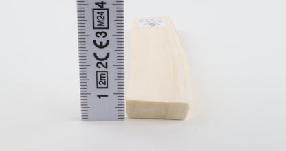 White mammoth ivory segment