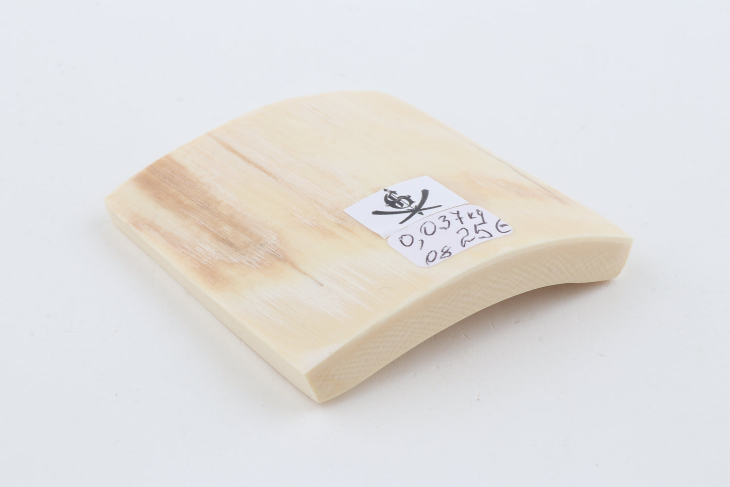 White mammoth ivory segment