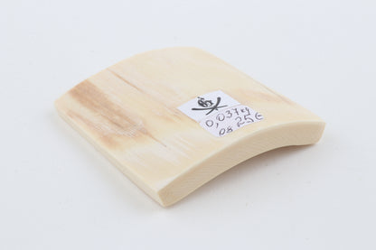 White mammoth ivory segment