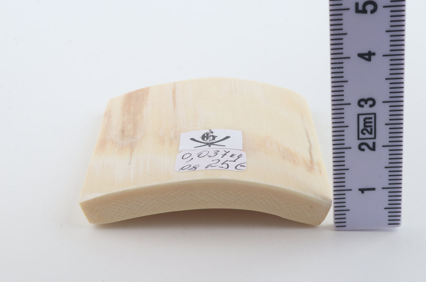 White mammoth ivory segment