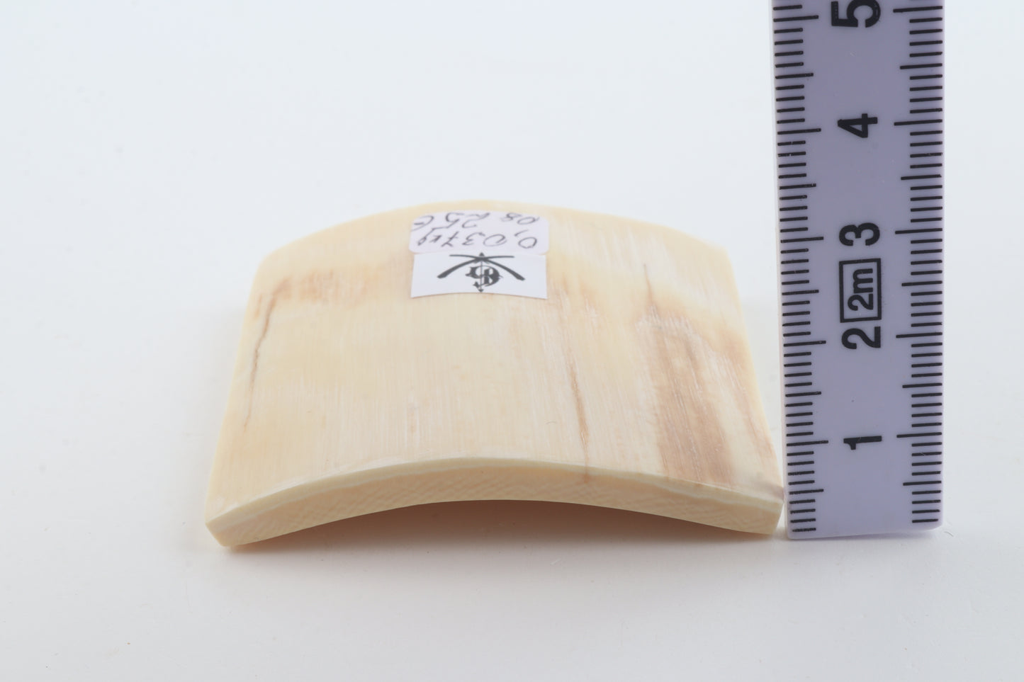 White mammoth ivory segment