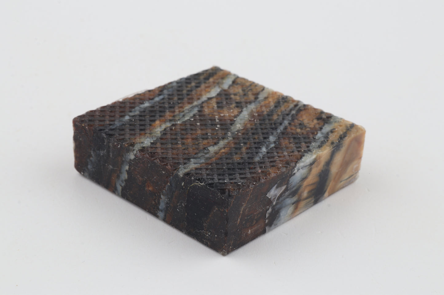 Stabilized mammoth molar piece