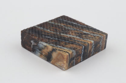 Stabilized mammoth molar piece