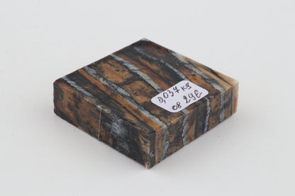 Stabilized mammoth molar piece