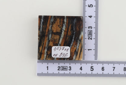 Stabilized mammoth molar piece