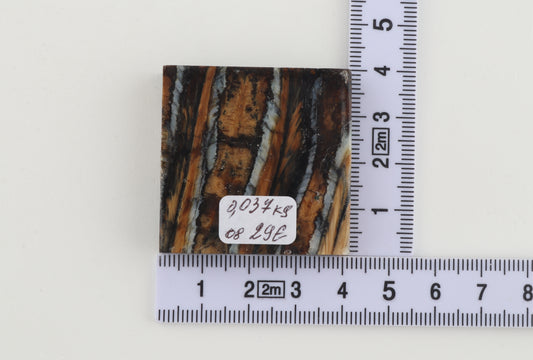 Stabilized mammoth molar piece