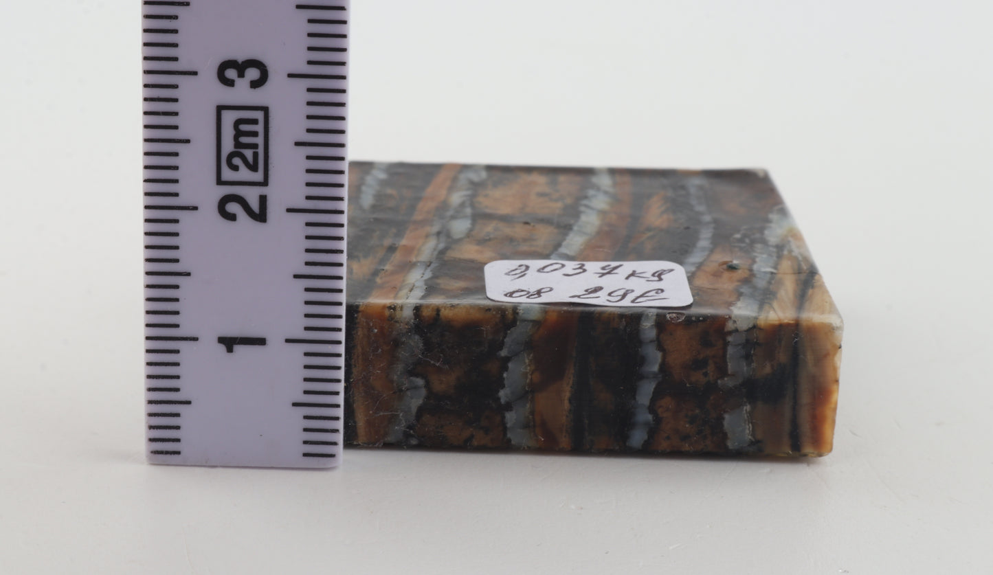 Stabilized mammoth molar piece